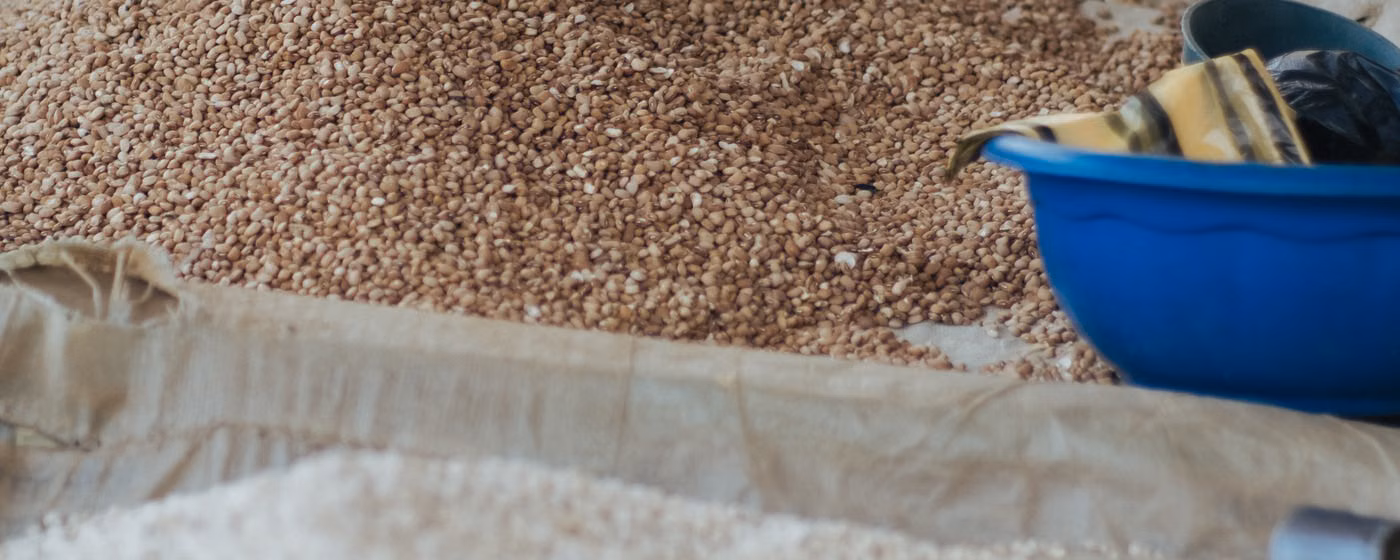 Marché africain — sacs de riz, mil et céréales au Nigeria